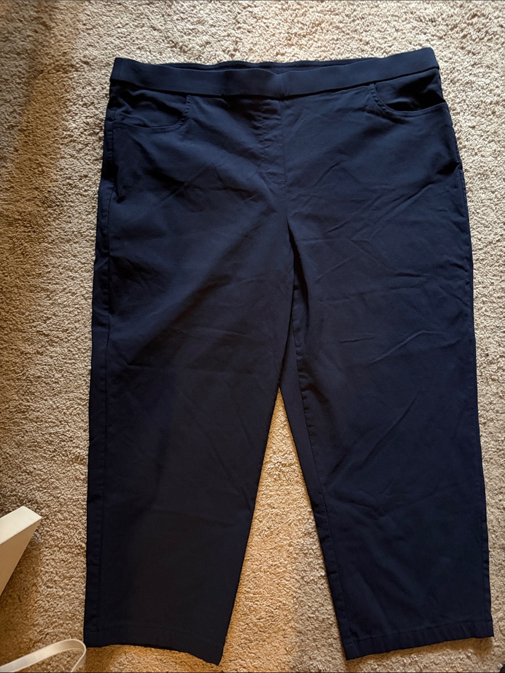 alfred dunner Women's Pull On Capris Size 20W Blue